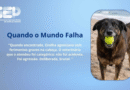 Quando o Mundo Falha