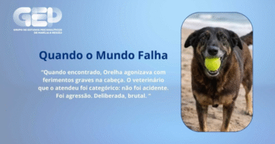 Quando o Mundo Falha